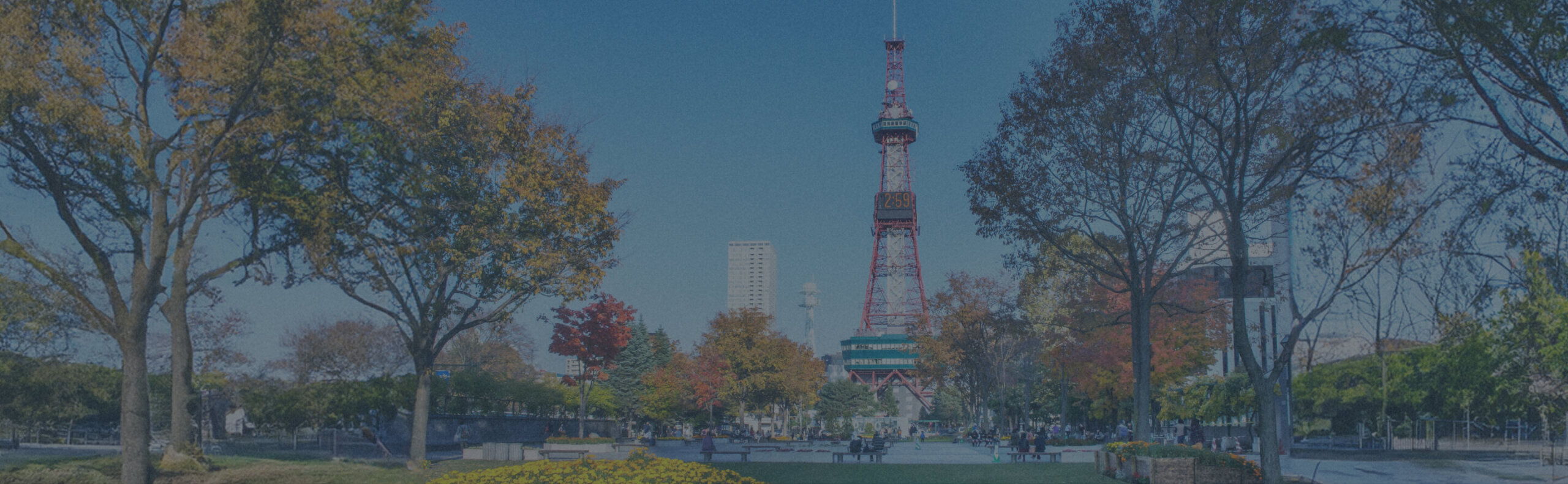 AGS税理士法人 札幌支社